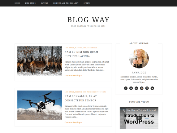 Blog Way