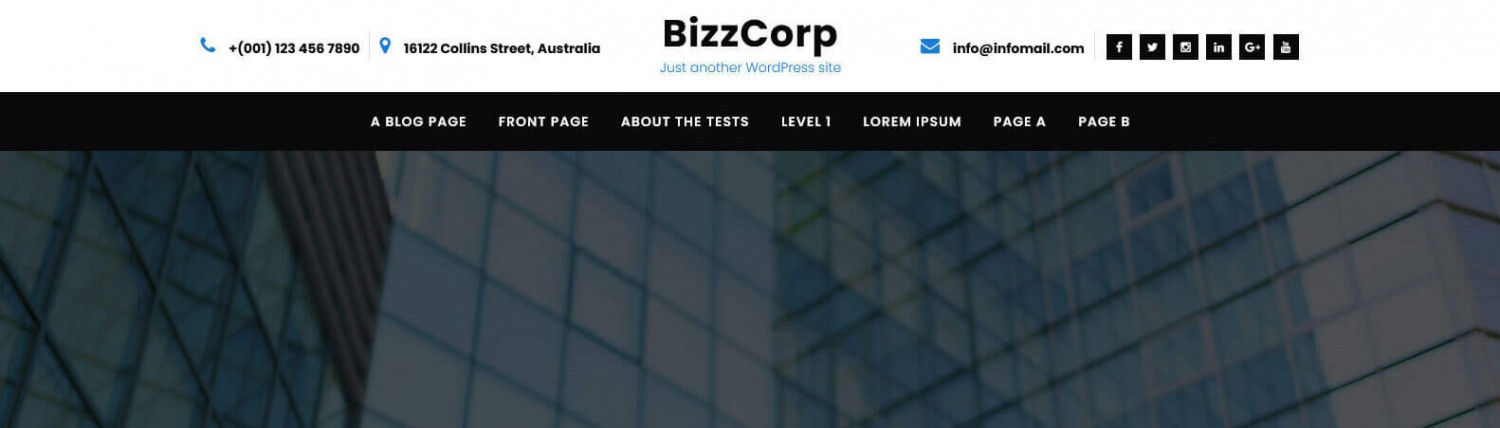 Bizzcorp Lite