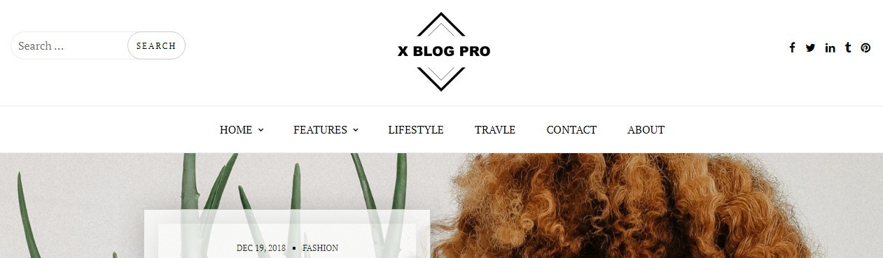 Blog X