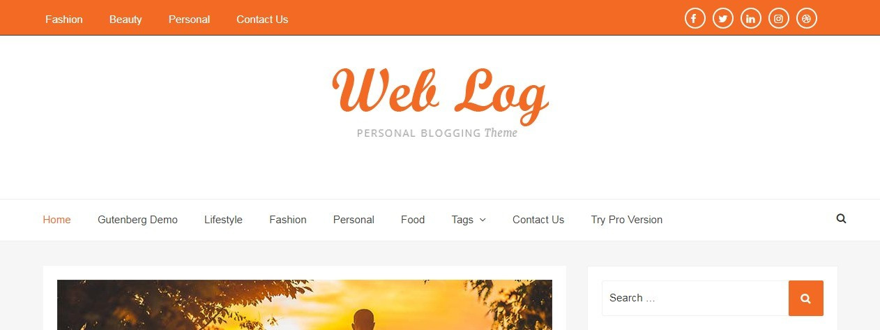 Web Log