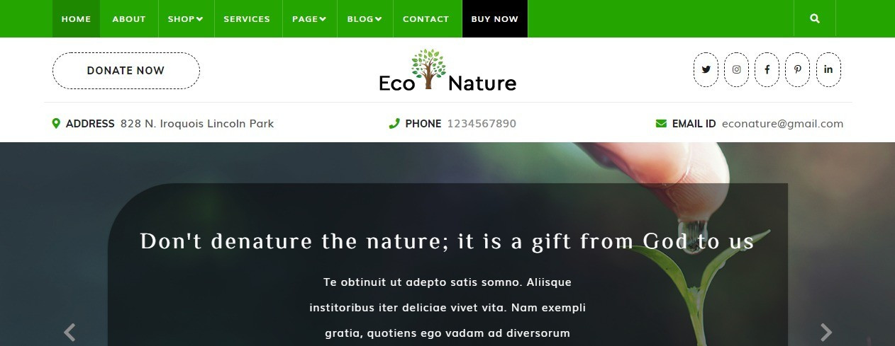 VW Eco Nature