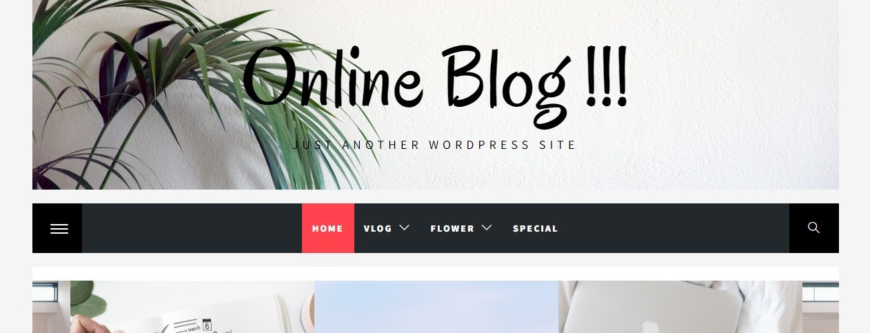 Online Blog