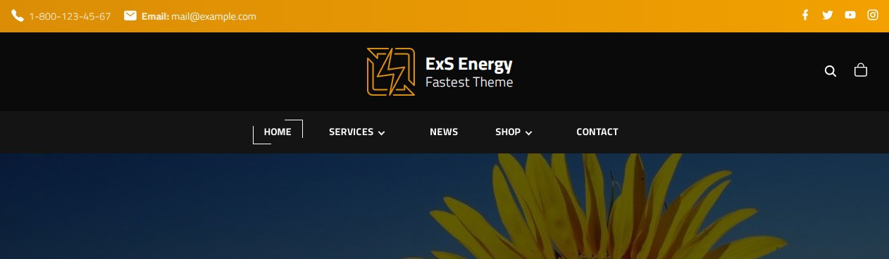 ExS Energy