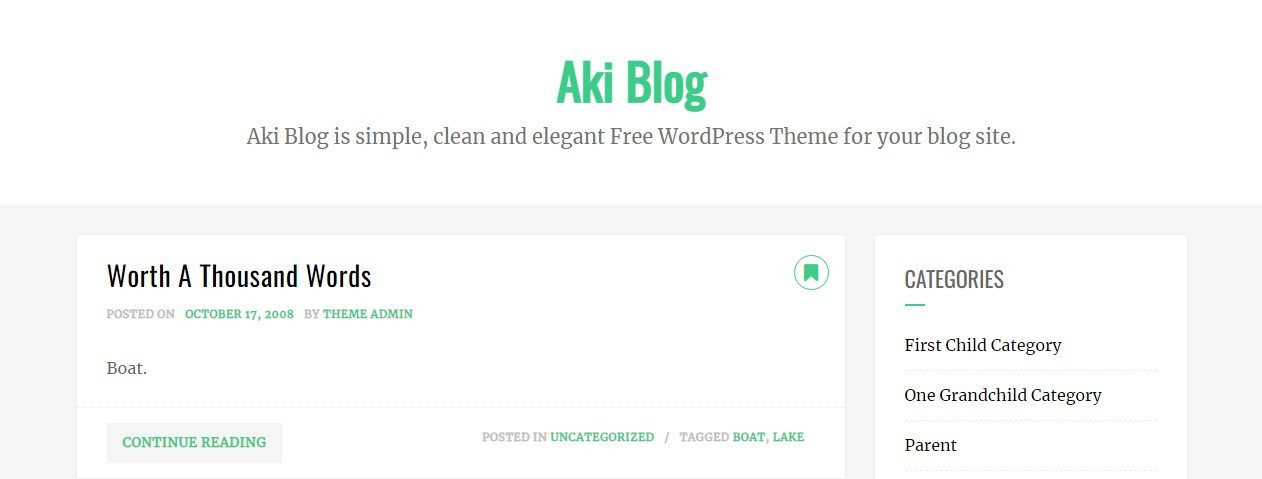 Aki Blog