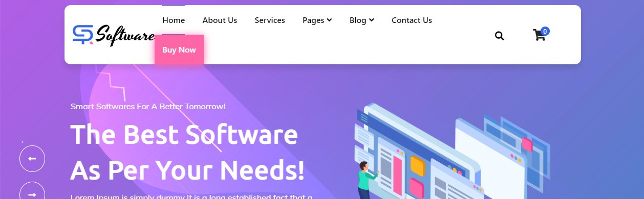 SAAS Software Technology