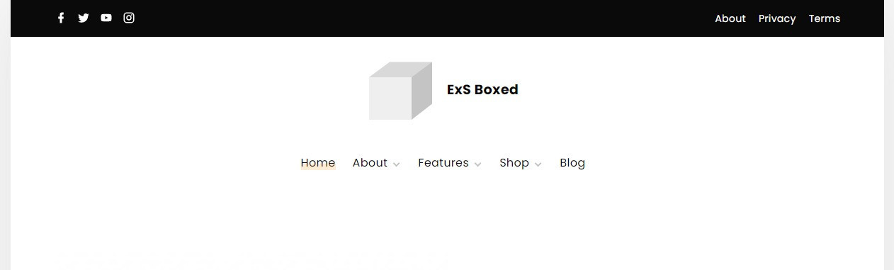 ExS Boxed