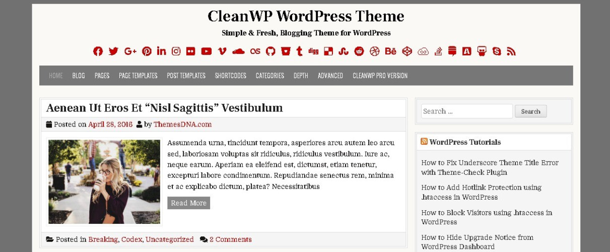 CleanWP