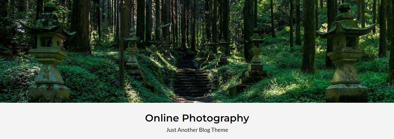 Online Photography