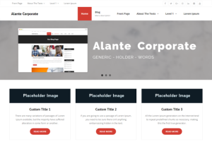 Alante Corporate