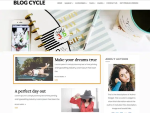 Blog Cycle