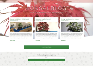 Bonsai blog
