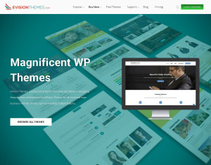 eVision Themes