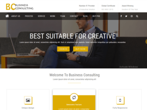 BC Business Consulting