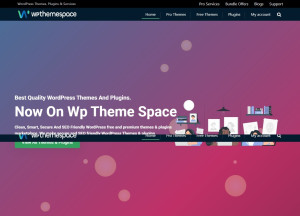 WP theme Space