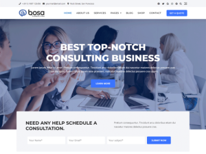 Bosa Consulting